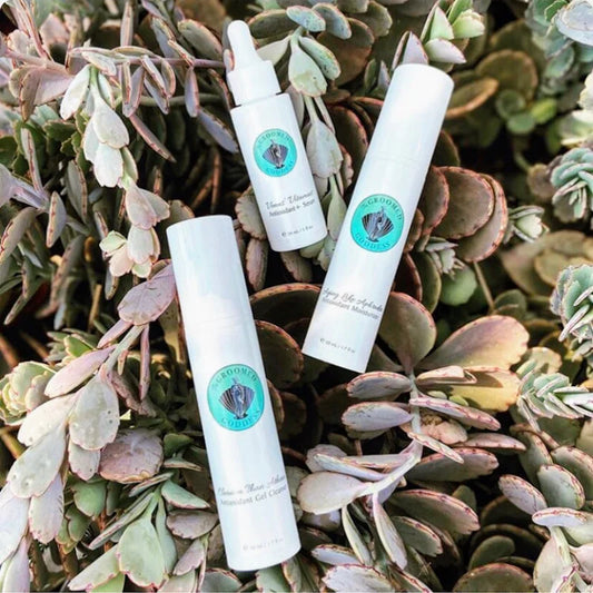 Three skincare bottles with a brand logo on a leafy background